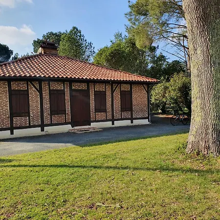 Les Rives Du Lac De Léon Exterior foto