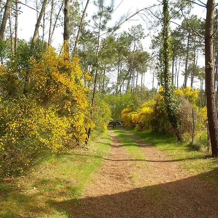 Les Rives Du Lac De Léon Exterior foto